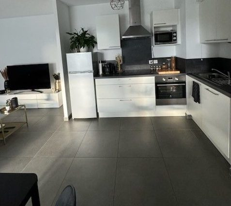 L’appartement T2 de 49 m2 à Huningue offre une belle cuisine équipée ouverte sur la pièce à vivre avec comme équipement frigo, four, plaques de cuisson, hotte et de nombreux rangements.